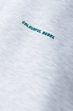 New Colourful Rebel Abstract Flower Hoodie | Light grey melange Lightgreymelange