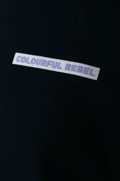 Online Colourful Rebel Box Logo Hoodie | Black