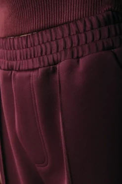 Hot Colourful Rebel Jiby Pintuck Pants | Port Red Portred