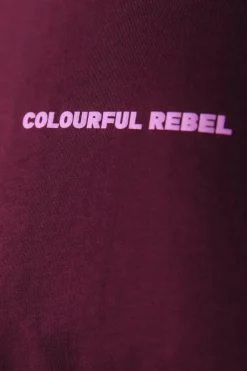 New Colourful Rebel Uni Logo T-shirt | Port Red Portred