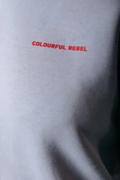 Online Colourful Rebel World Tour Hoodie | Light grey Lightgrey